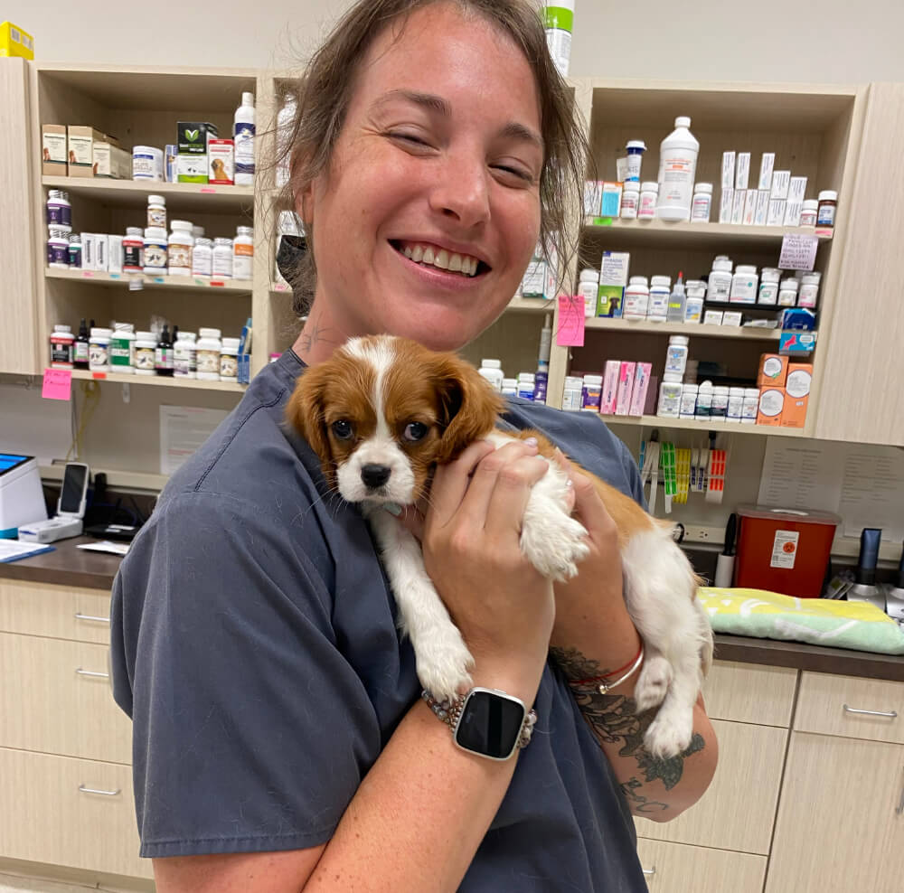 Smiling veterinary technician holding a Cavalier King Charles Spaniel puppy during an emergency care visit in Kingston