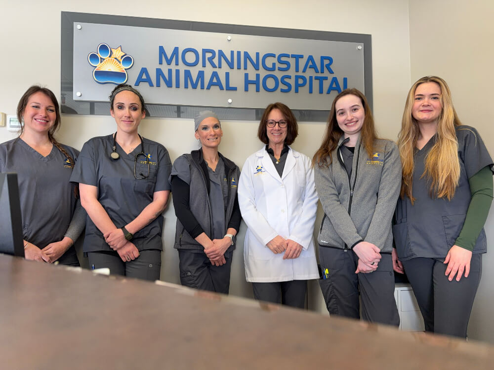 The veterinary team at Morningstar Animal Hospital smiling together in front of the clinic sign for their about us page in Kingston