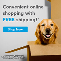 Online Pharmacy